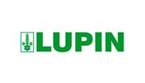 Lupin